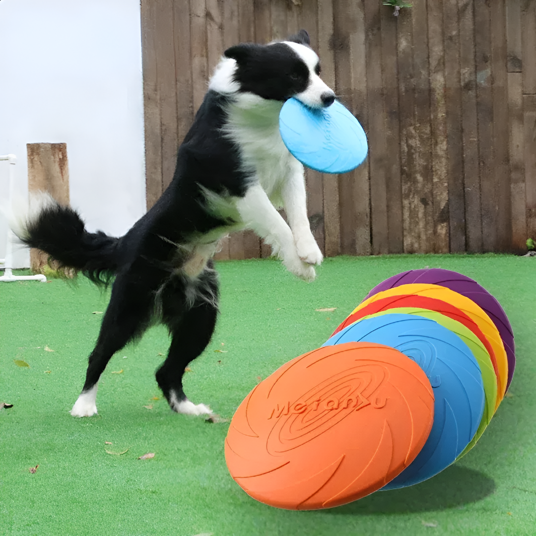 The Joy of Play — Why Pet Toys Matter
